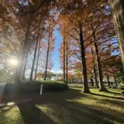 t.kの画像
