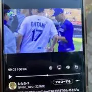 しゃどーの画像