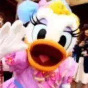 しづくちゃんの画像