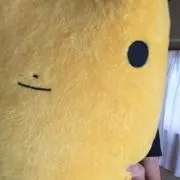 ふもりんの画像