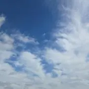 まいちんの画像