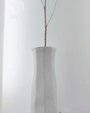 とりのうたの画像