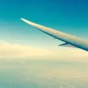 たけの画像