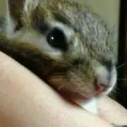 くりーむ　プロフ必読