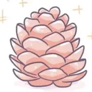 まつぼっくりの画像