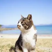 TKDの古着屋(プロフィール必読)の画像