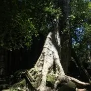 Alexの画像