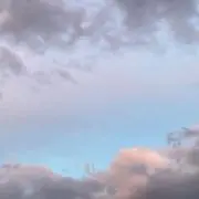 Rileyの画像