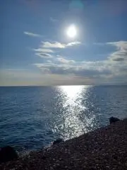 bluejinの画像