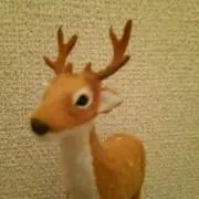 ☆あずき☆