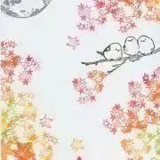 さぽこの画像