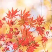 mの画像