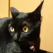 りん