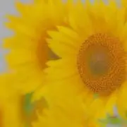 【プロフ必読】M☆まとめ売り⭕️の画像