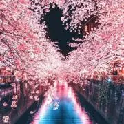 ちぇ‪☆の画像