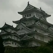 Tanakaa’s
