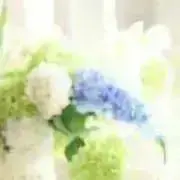 はな