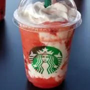 カピバラの画像
