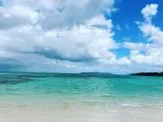 YKL2026の画像