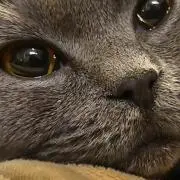 Masahiro