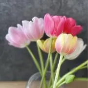 GRIOTTESの画像