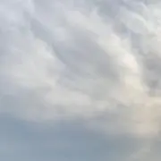 にゃん