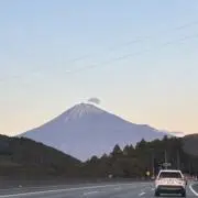 まんまるの画像