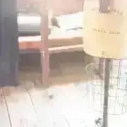 ハルの画像