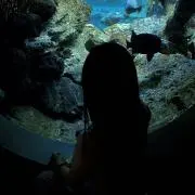 nanaeの画像