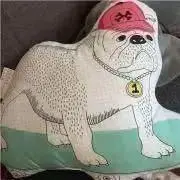 Bちゃんの画像