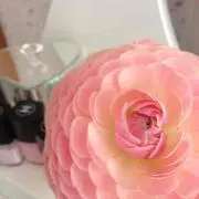 ♡Mami♡の画像