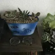 ふーこの画像