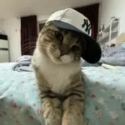 にゃ❤︎”の画像