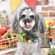 のりママ