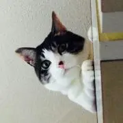 ちーさま