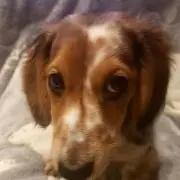 Tomoの画像