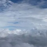 いちの画像