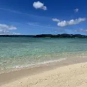 MAKOの画像