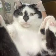 pumipasiの画像