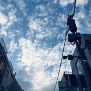 haruruの画像