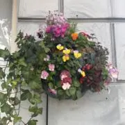 ♡の画像