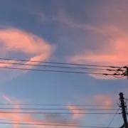 たそがれの画像