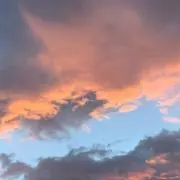 レナの画像