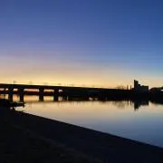 Tの画像