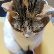rn0101の画像