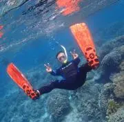 samの画像