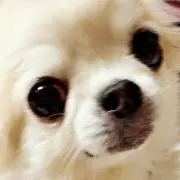 sao★ \\プロフ必読//の画像
