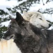 ちぃずの画像