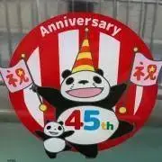 すみっこぐらしの画像