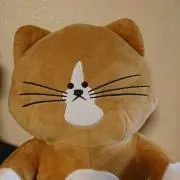 ☆ウニ☆断捨離中の画像